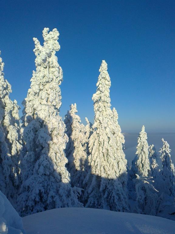 Koli Freetime Cottages Ahmovaara الغرفة الصورة