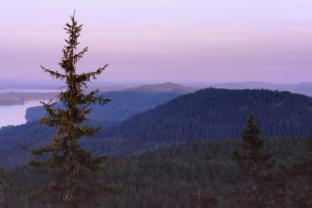 Koli Freetime Cottages Ahmovaara الغرفة الصورة