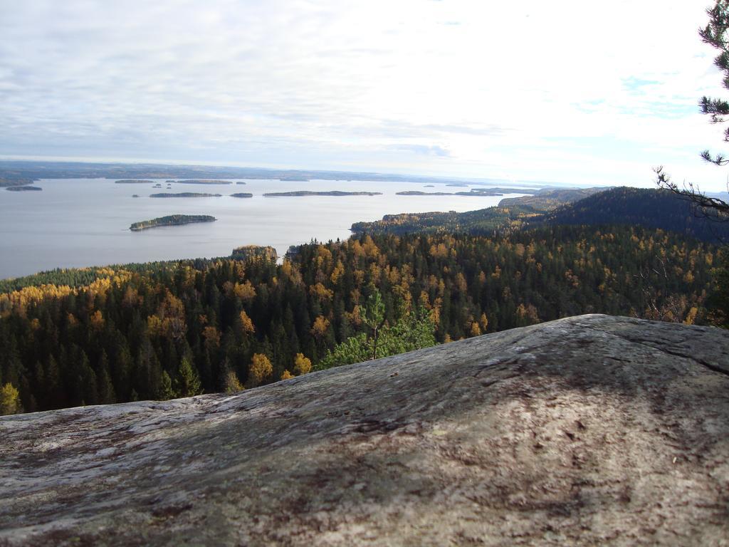 Koli Freetime Cottages Ahmovaara الغرفة الصورة