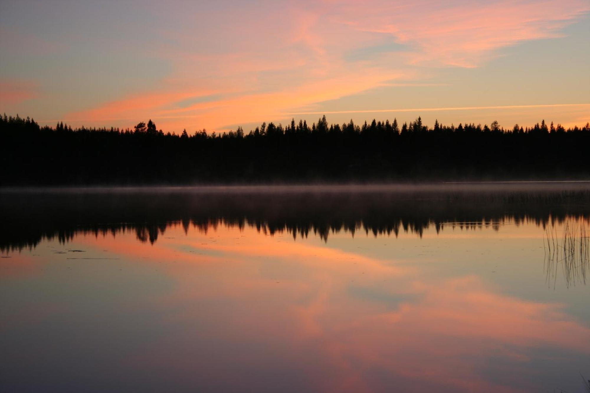 Koli Freetime Cottages Ahmovaara الغرفة الصورة