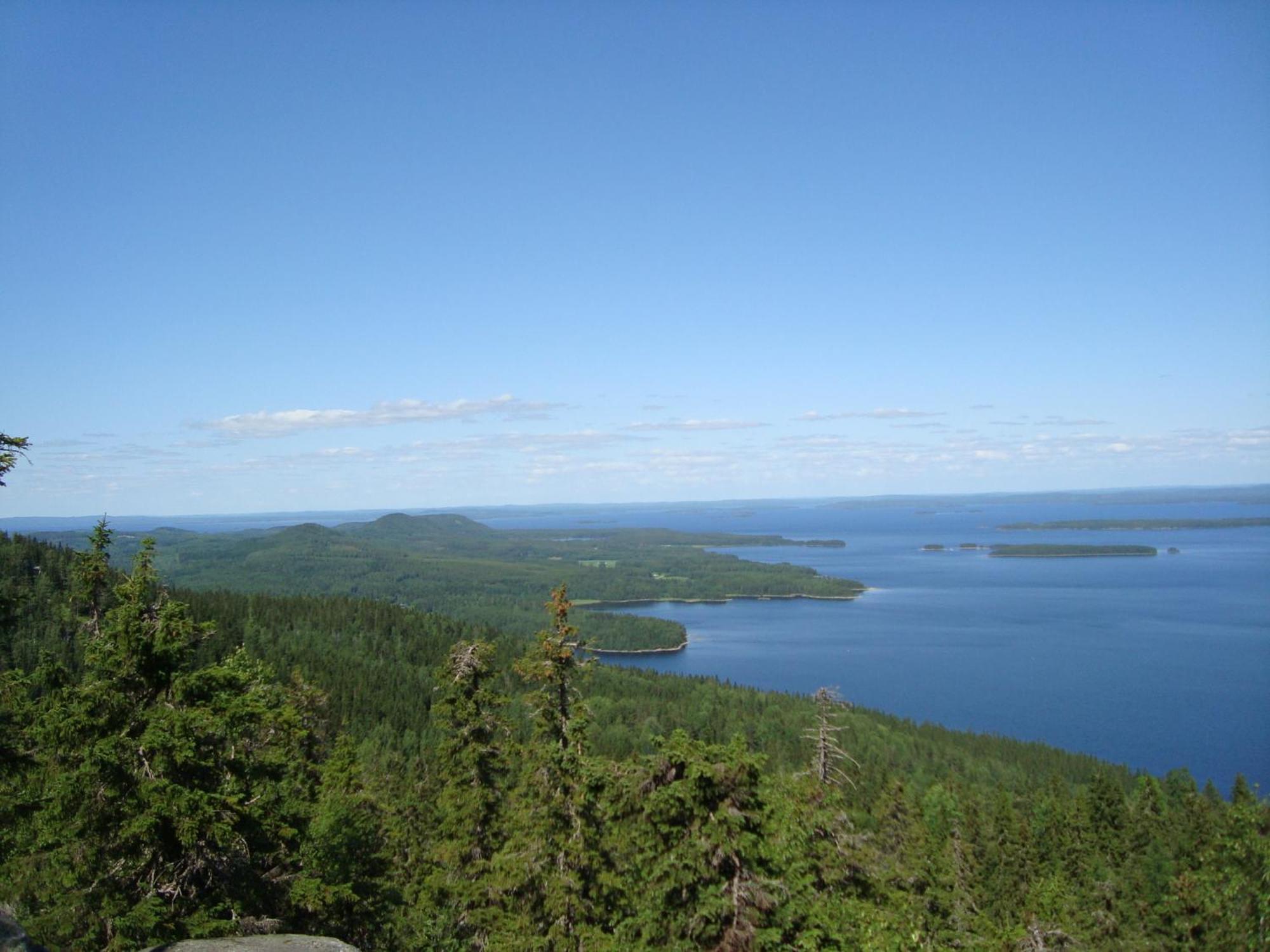 Koli Freetime Cottages Ahmovaara الغرفة الصورة
