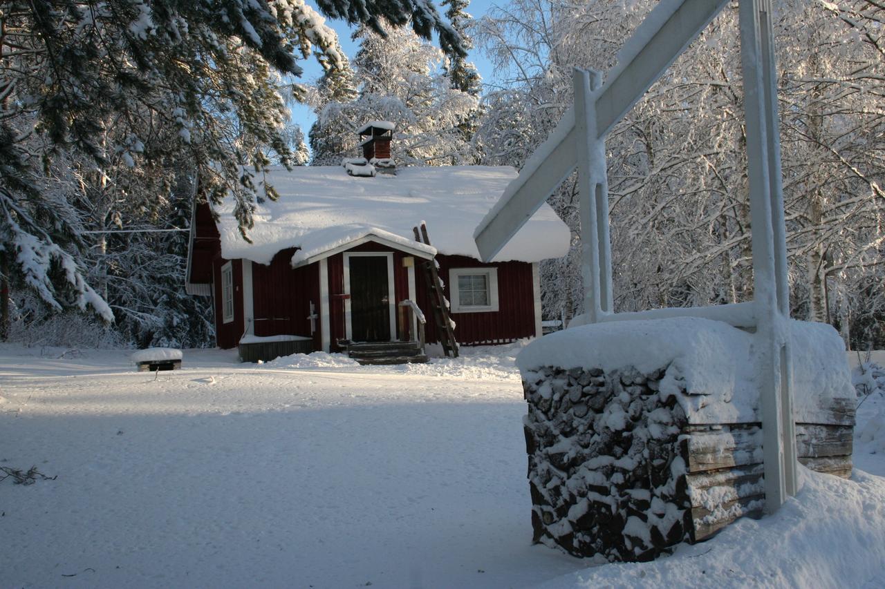 Koli Freetime Cottages Ahmovaara المظهر الخارجي الصورة